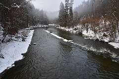 73: DSC_8862