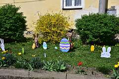 15: DSC_0454