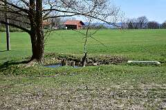 17: DSC_0456