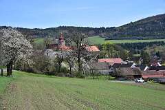 19: DSC_0458