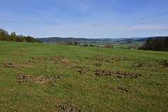 21: DSC_0460