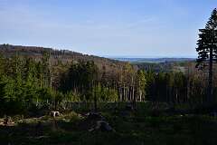 41: DSC_0485