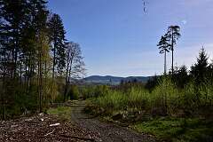42: DSC_0486