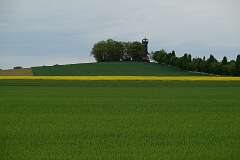 25: RX106749