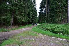 14: DSC_0512