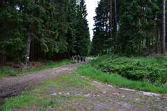 15: DSC_0513