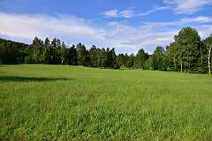 29: DSC_0527