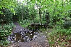 32: DSC_0530