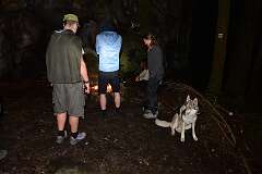 42: DSC_0542
