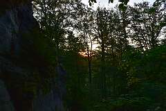 45: DSC_0545