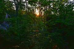 46: DSC_0546
