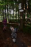 54: DSC_0554
