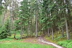 72: DSC_0575