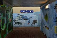 32: DSC_0617