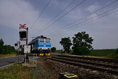35: DSC_0620