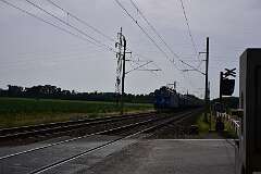 36: DSC_0621