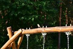 51: DSC_0636