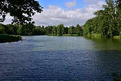 52: DSC_0637