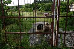 34: RX106897