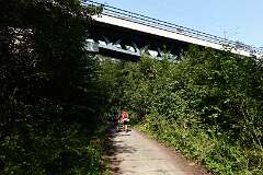 17: RX106994