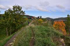 33: DSC_0701