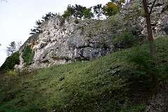 38: DSC_0706
