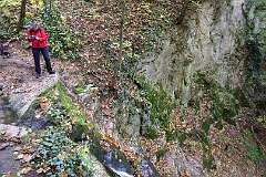 39: DSC_0707