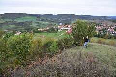 50: DSC_0718