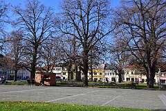 4: DSC_0728