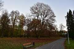 36: DSC_0762