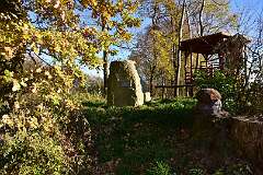 46: DSC_0774