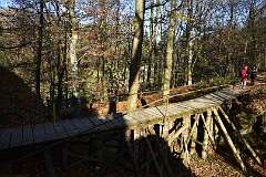61: DSC_0789