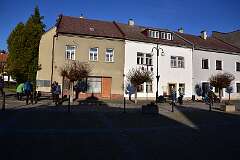 75: DSC_0803