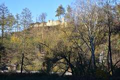 82: DSC_0812