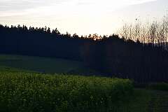 91: DSC_0823