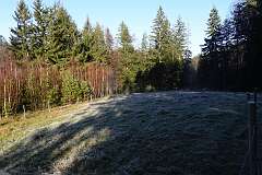 59: RX107210