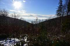46: DSC_0937