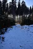 60: DSC_0951