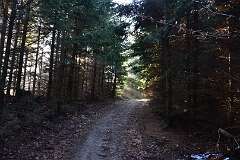 62: DSC_0953