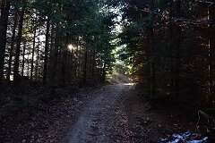 63: DSC_0954
