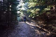 64: DSC_0955