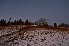 70: DSC_0961