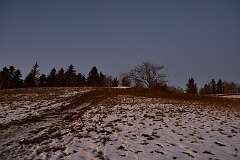 71: DSC_0962