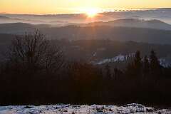 81: DSC_0974