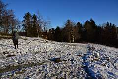 84: DSC_0977