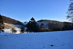 86: DSC_0979