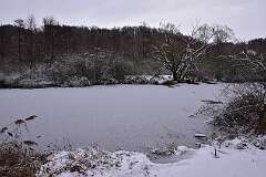 2: DSC_1005