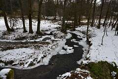 2: DSC_1033