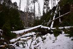 12: DSC_1043
