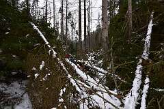 13: DSC_1044